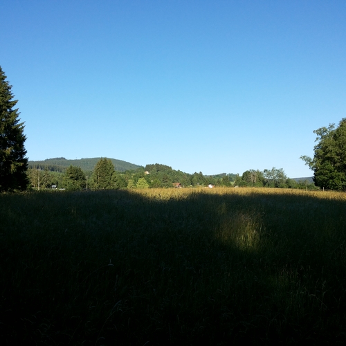 Urlaub im Schwarzwald (21)